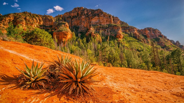 Обои на рабочий стол Мексика
