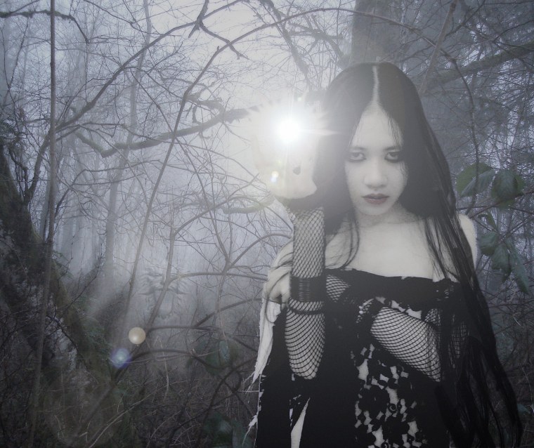 Бабочка Готика