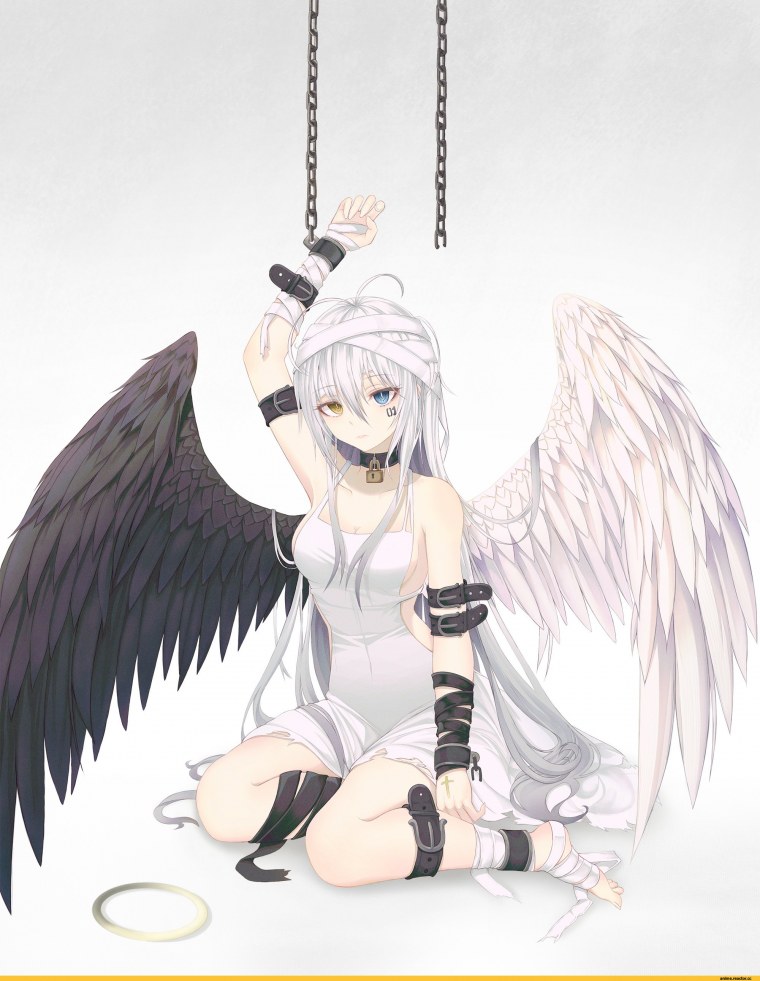 Союз Серокрылых аниме