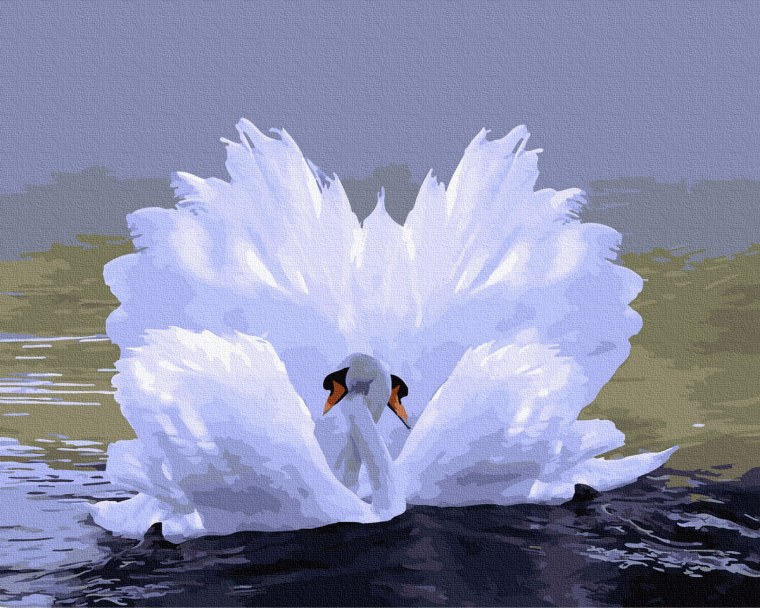 Пара лебедей