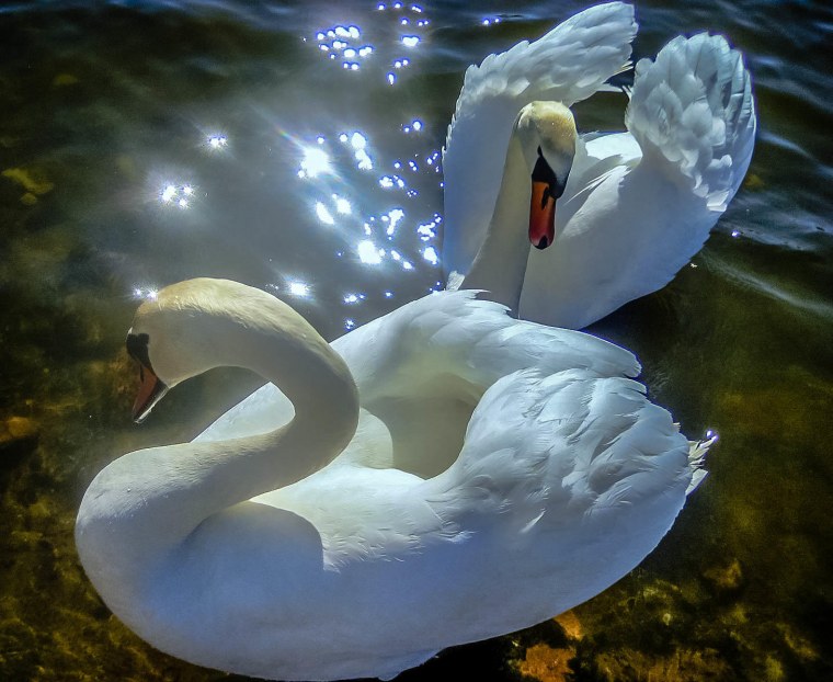 Аиша Керимова