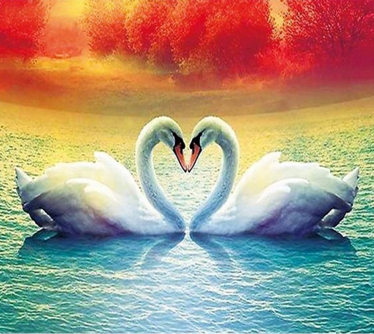 Верность лебедей