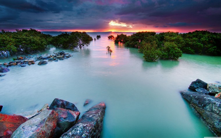 Природа море