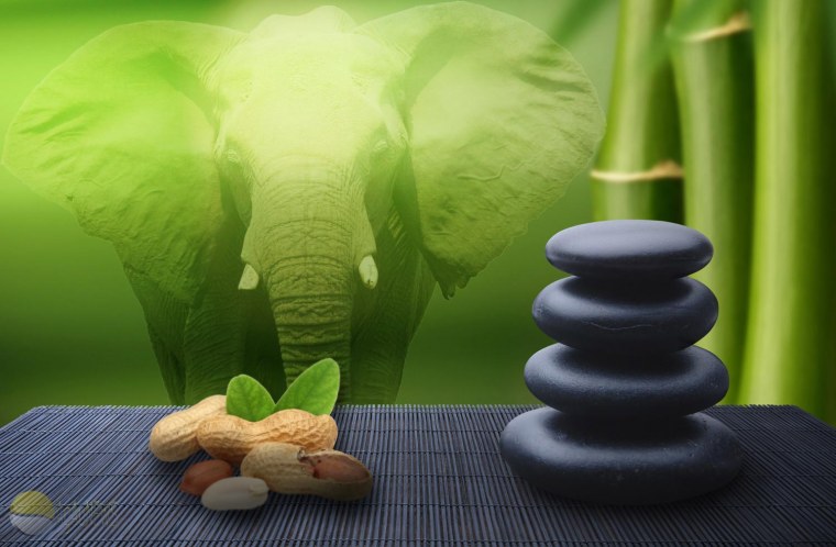 Китайские новогодние открытки