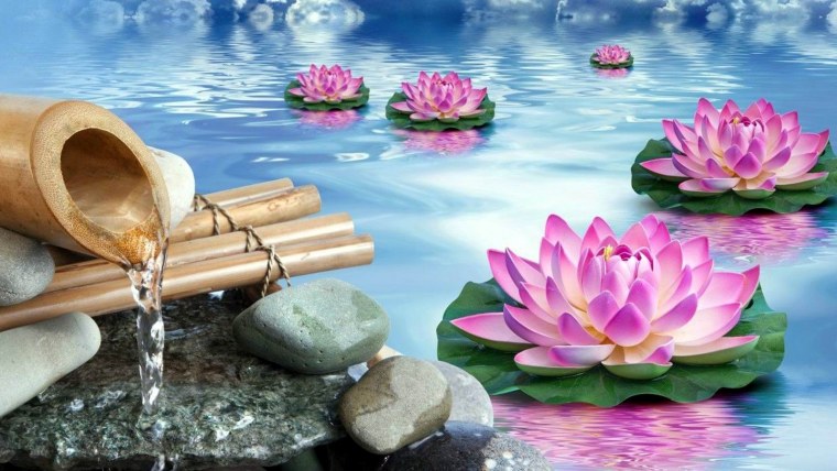 Обои приносящие удачу