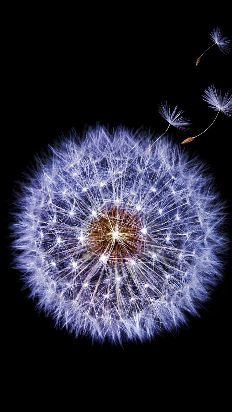 Картинки на рабочий стол черно белые