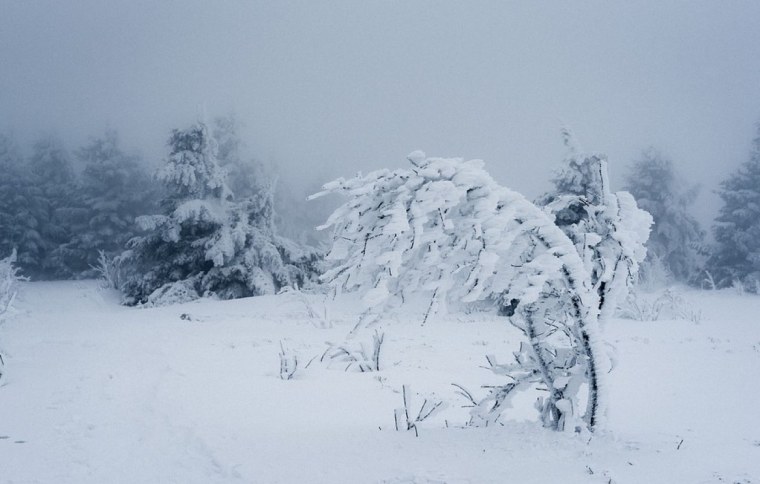 Матушка зима