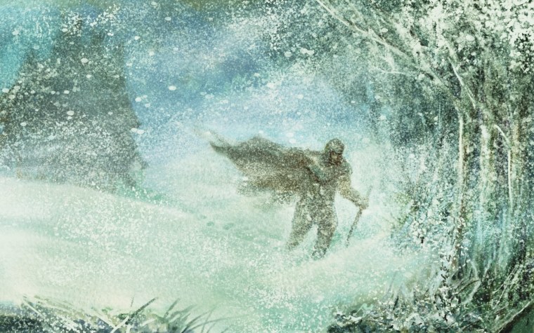 Метель вьюга Пурга Буран