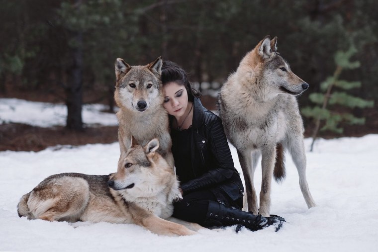 Дружба с волком