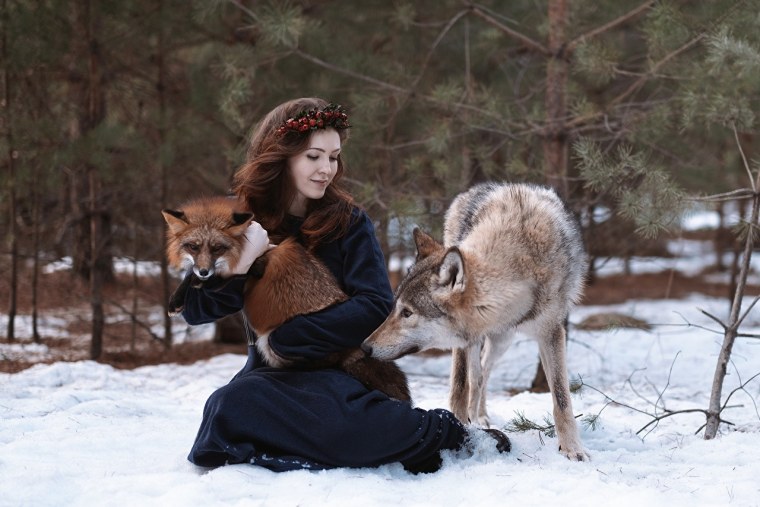Фотосессия с волком