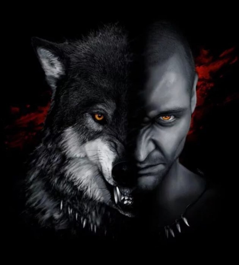 Волкособ с овчаркой