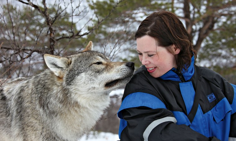 Прирученный волк
