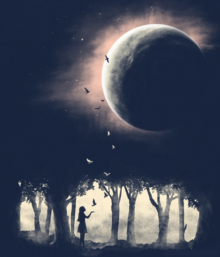 Новолуние иллюстрация