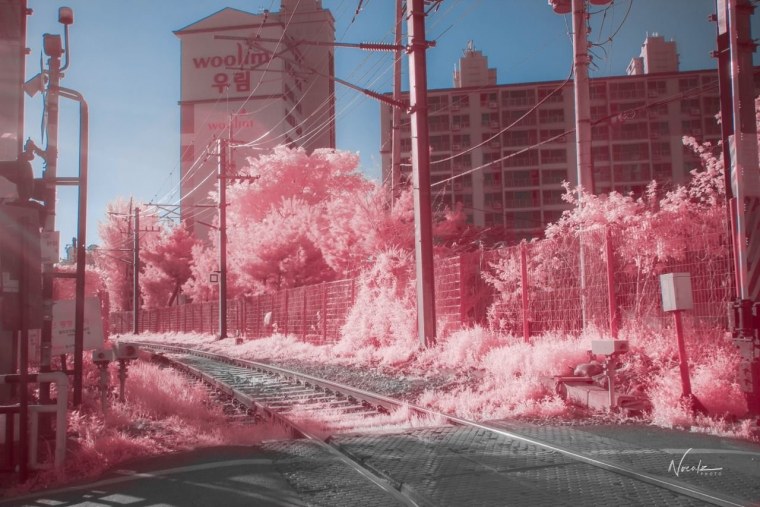 Южная Корея Эстетика Сеул неон