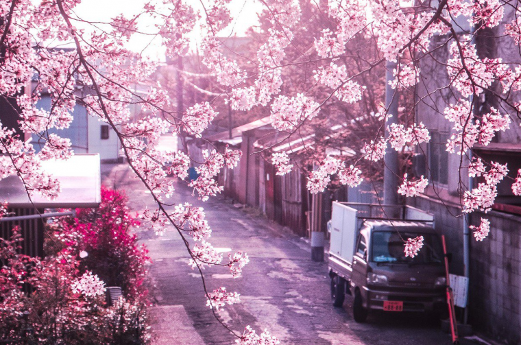 Вапорвейв Эстетика Корея