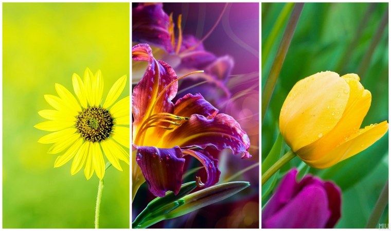 Обои на андроид самсунг