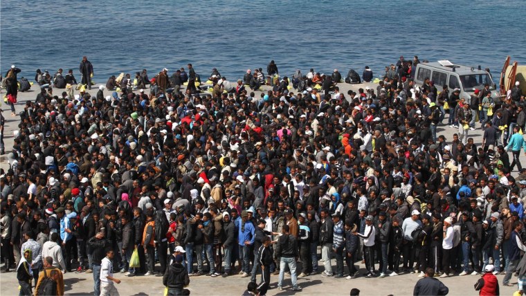 Экологический мигрант