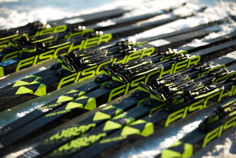 Лыжники в лесу