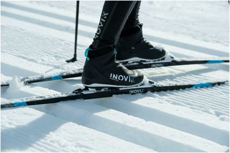 Лыжники в лесу