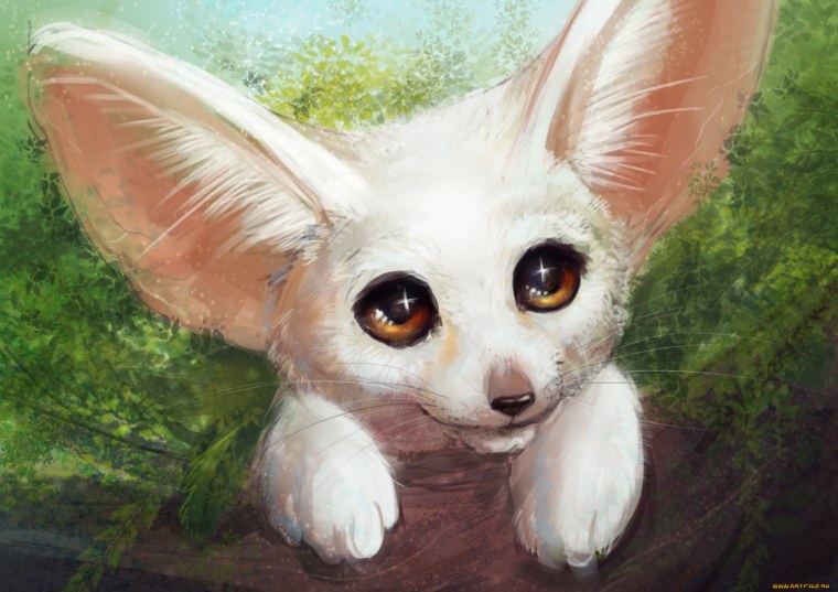 Чиби Лисичка аниме