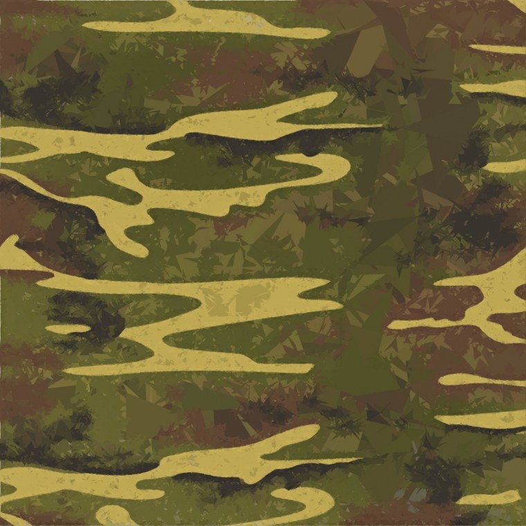 Армейский фон