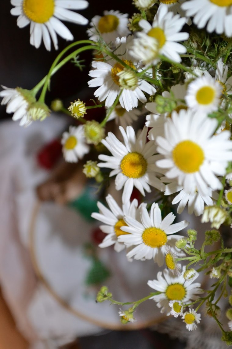 Счастье в ромашках