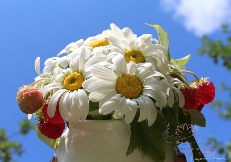 Букеты ромашек с пожеланиями