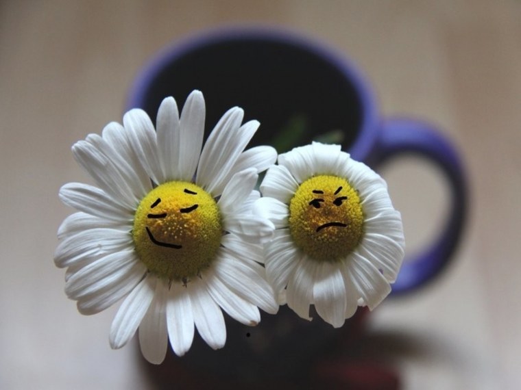 Веселый цветочек