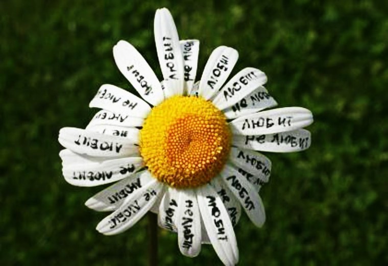 Елена Жихарева Липецк