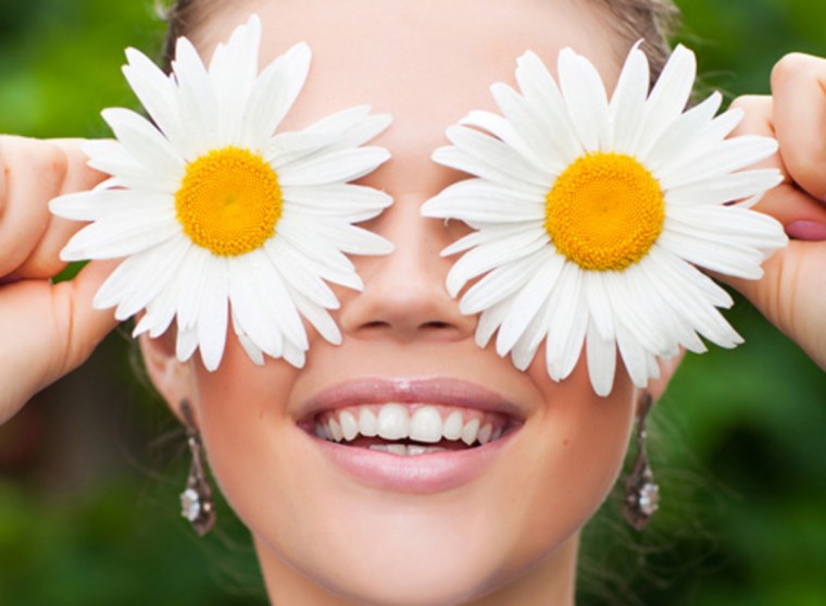 Гигантские ромашки