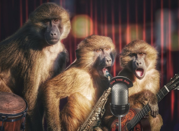 Картина три обезьяны