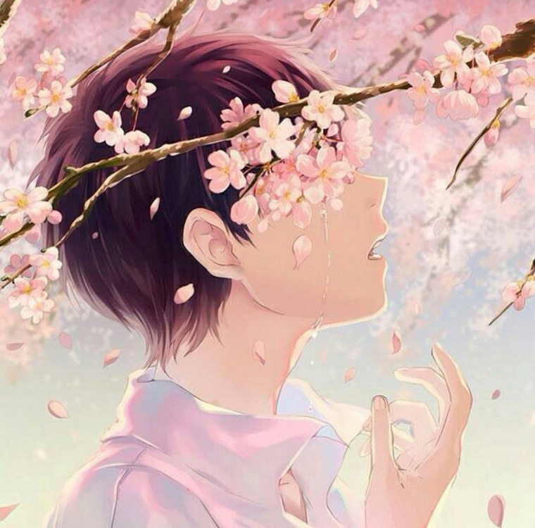 Аниме принцесса Эстетика