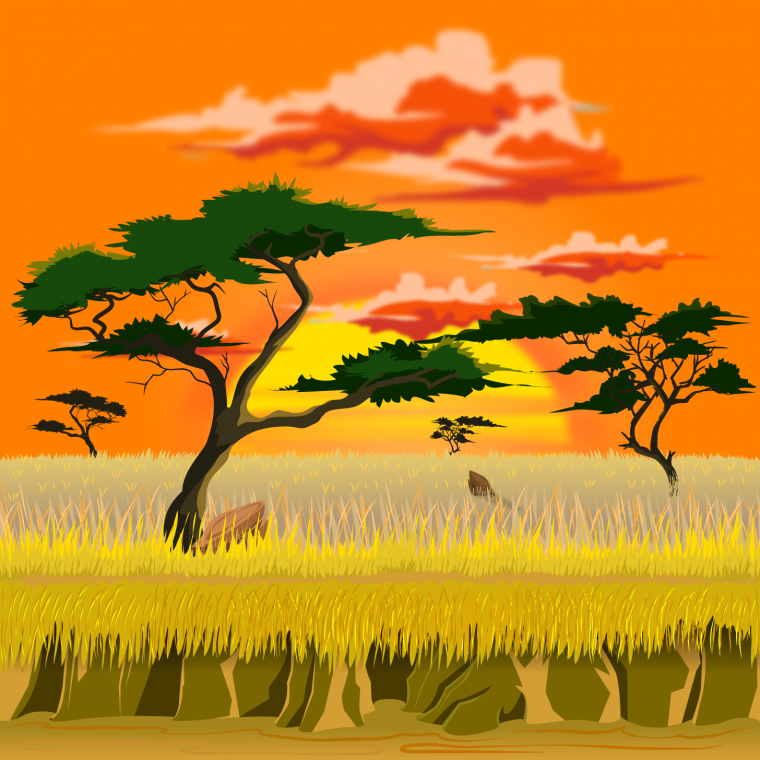 Саванна Серенгети