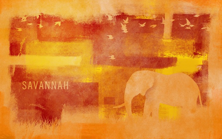 Обои 8 к Саванна