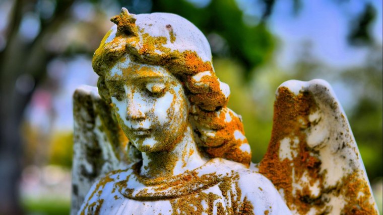 Давид Микеланджело Эстетика