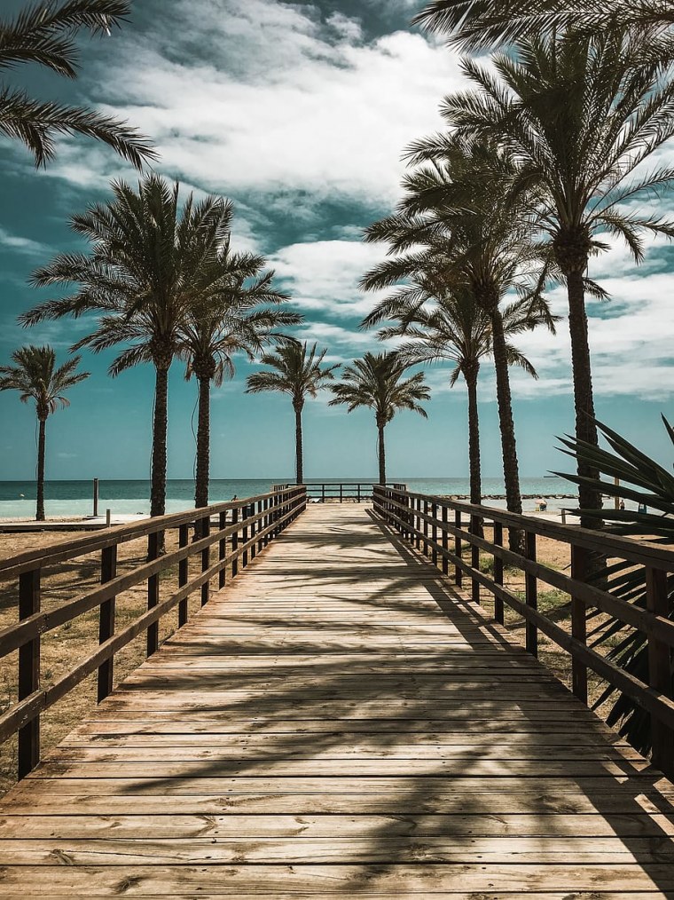 Розовые пальмы