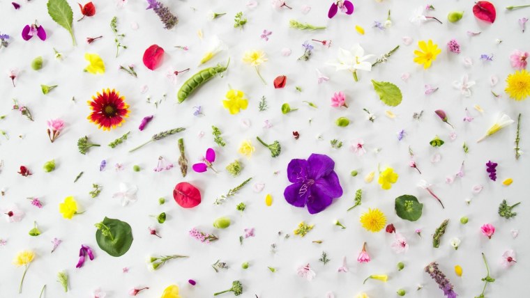 Обои с яркими цветами