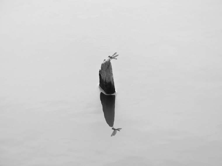 Классные картинки на черном фоне