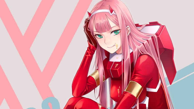 Zero two 16