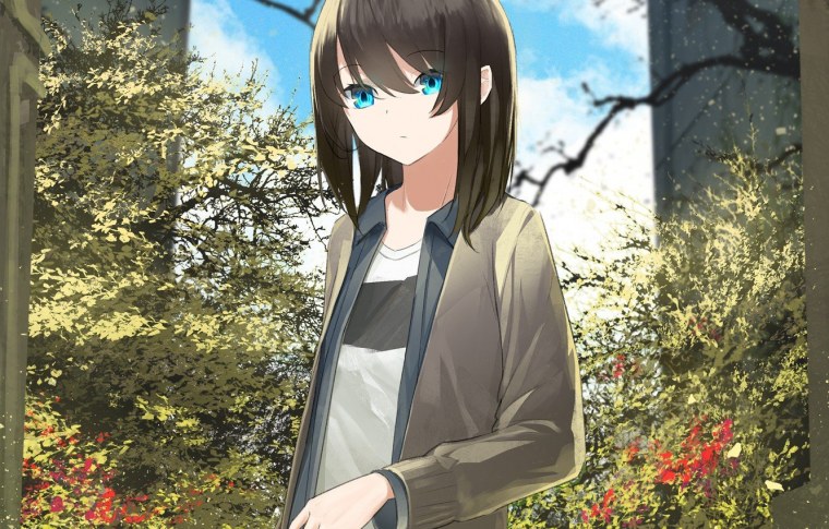 Аниме с коричневыми волосами