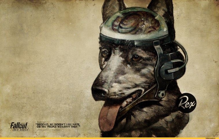 Fallout обои на телефон вертикальные