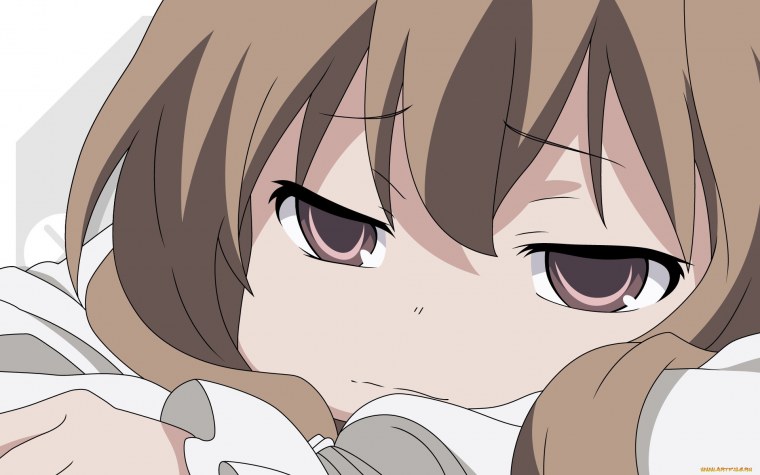 Аниме ТОРАДОРА Тайга