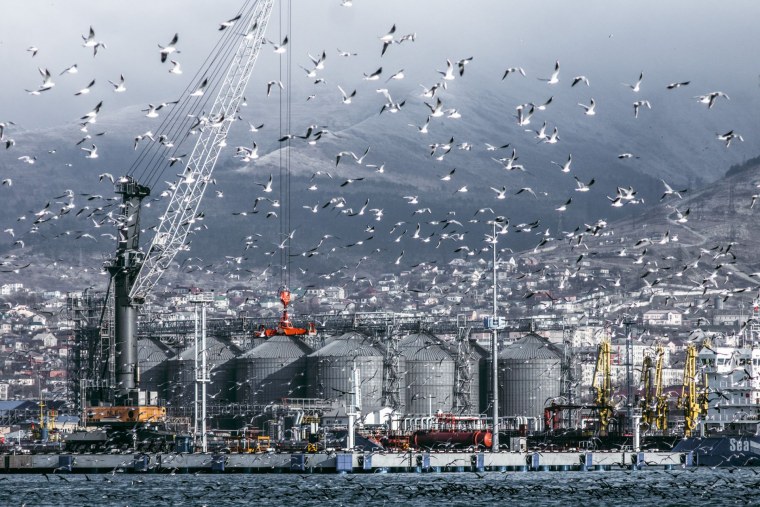 Новороссийск центр города