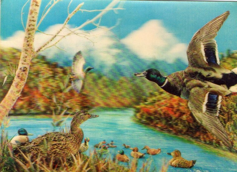 Морита харуё (森田春代) – японская художница