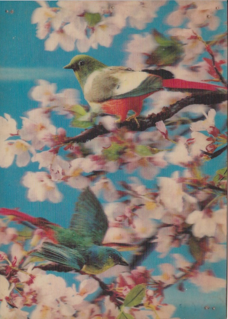 Майко на японских гравюрах