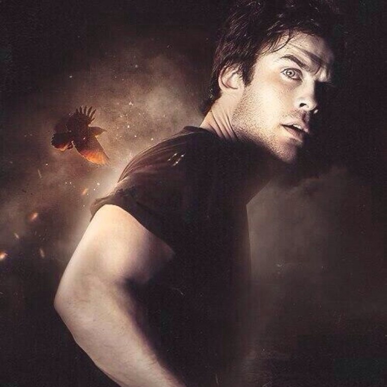 Йен Сомерхолдер фигура