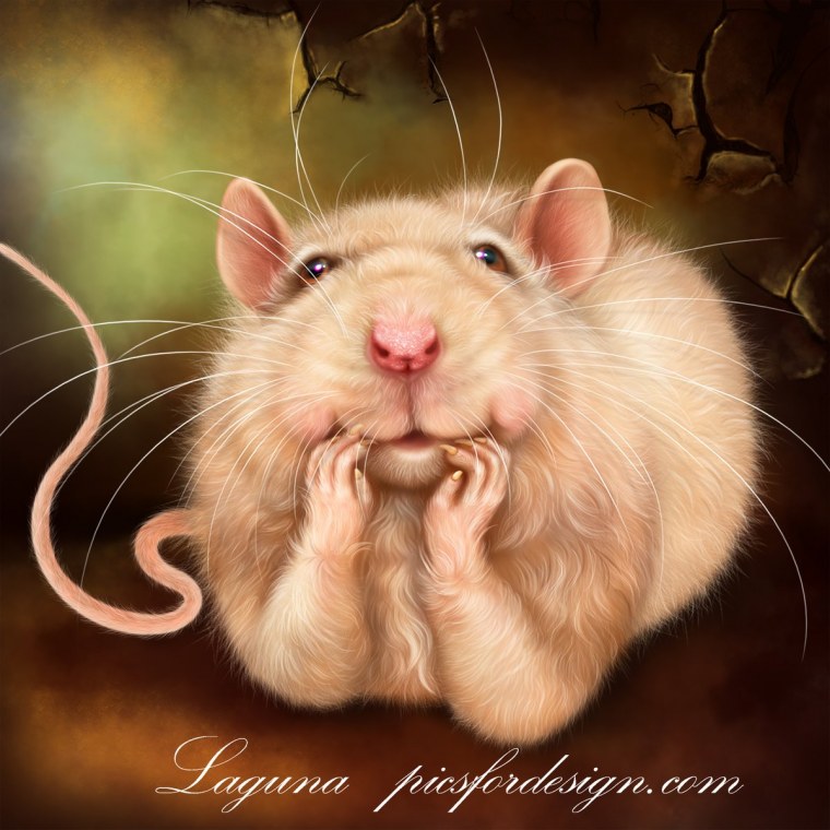 Хомяк Кэмпбелла альбинос