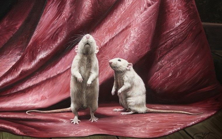 Черная крыса