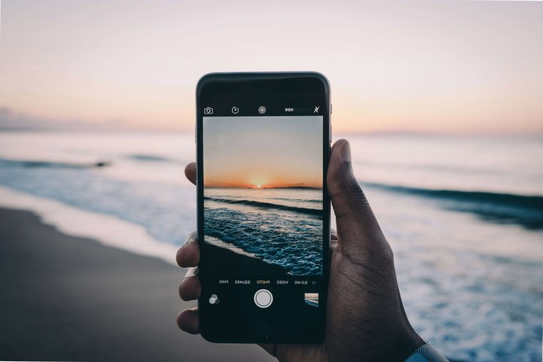 Абстракция животные