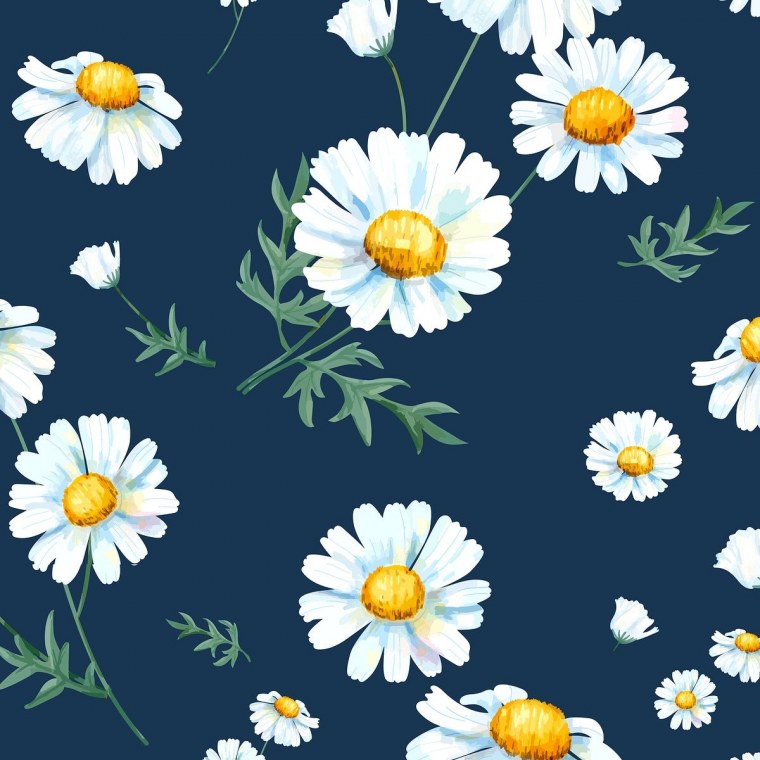 Красивые ромашки на айфон